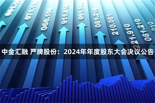 中金汇融 严牌股份：2024年年度股东大会决议公告
