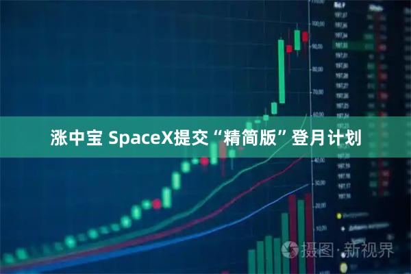 涨中宝 SpaceX提交“精简版”登月计划