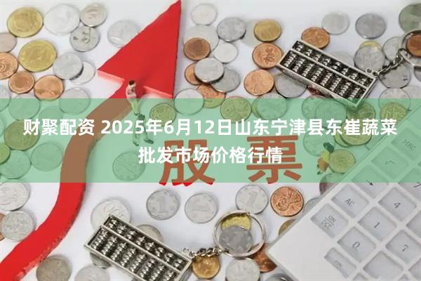 财聚配资 2025年6月12日山东宁津县东崔蔬菜批发市场价格行情