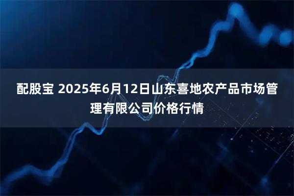 配股宝 2025年6月12日山东喜地农产品市场管理有限公司价格行情